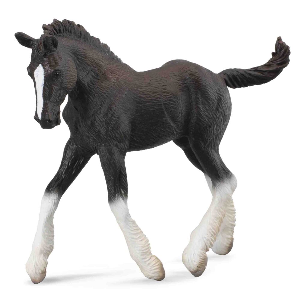 SHIRE HORSE FOHLEN SCHWARZ (M)