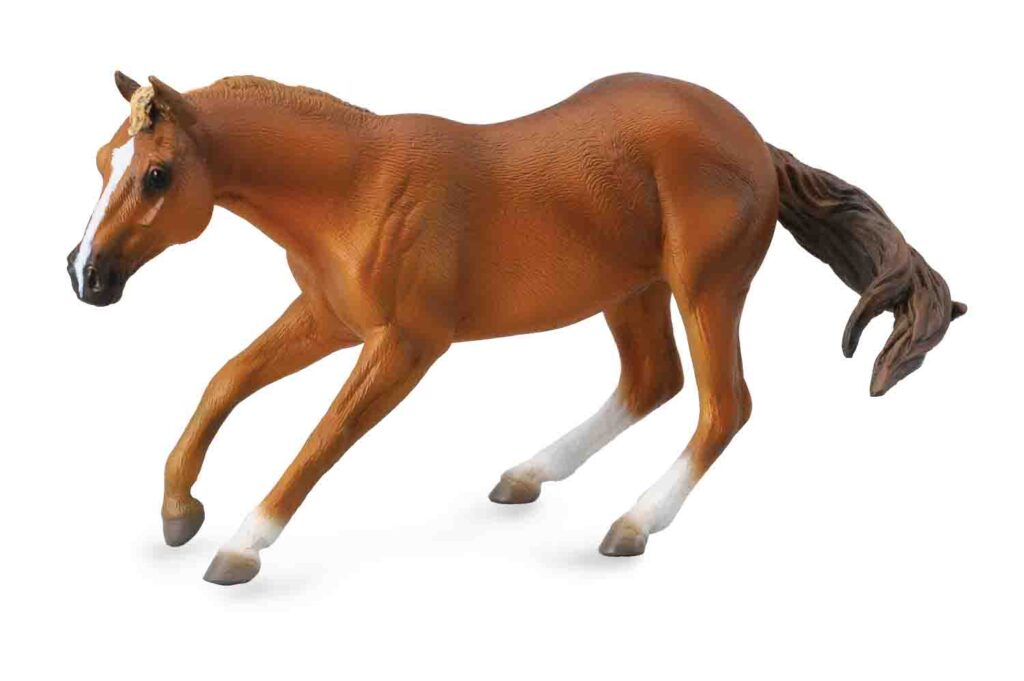 * QUARTER HORSE HENGST ROTBRAUN (XL)
