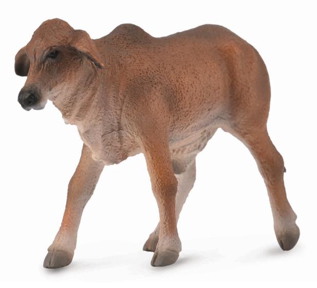 ROTES BRAHMAN KÄLBCHEN (S)