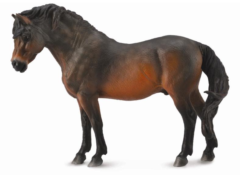 DARTMOOR PONY BRAUN (L)