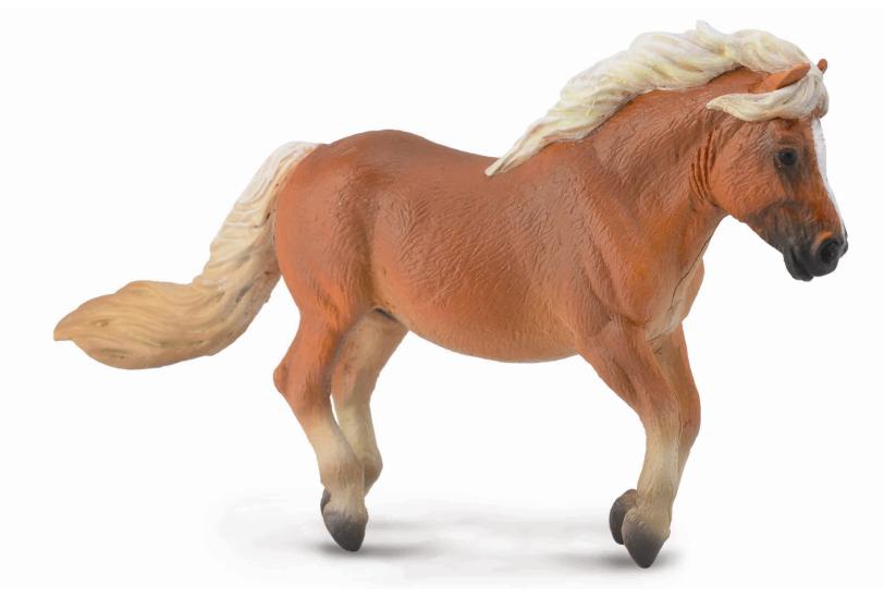 * SHETLAND PONY KASTANIENBRAUN (M)