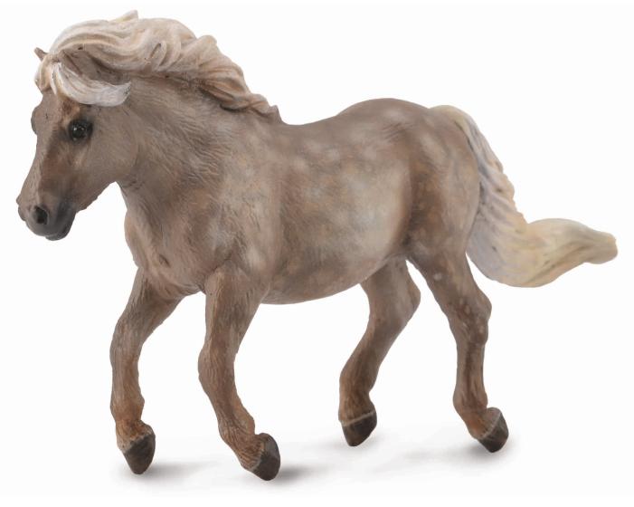 SHETLAND PONY APFELSCHIMMEL (M)