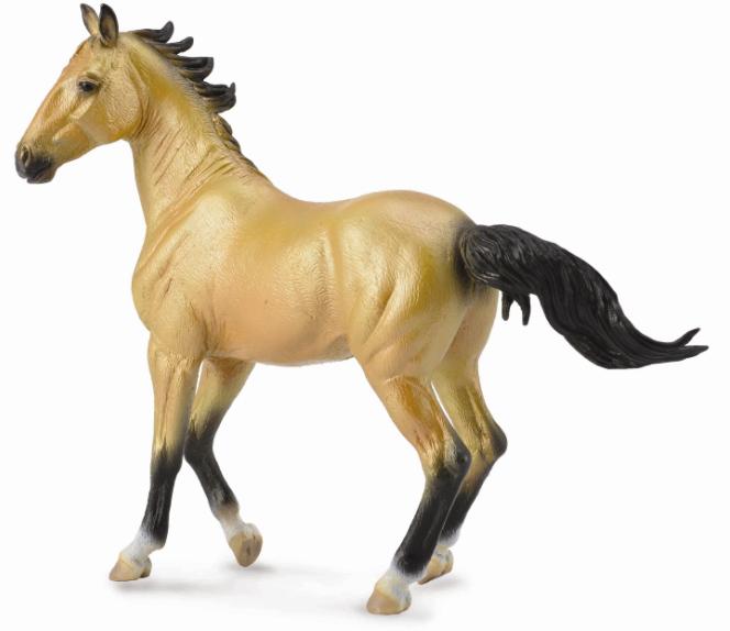 ACHAL-TEKKINER-STUTE BUCKSKIN (XL)