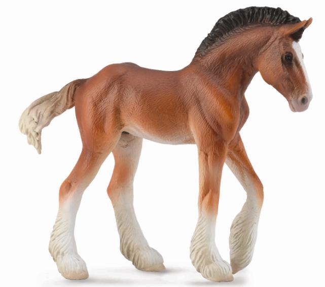 CLYDESDALE FOHLEN BRAUN (M)