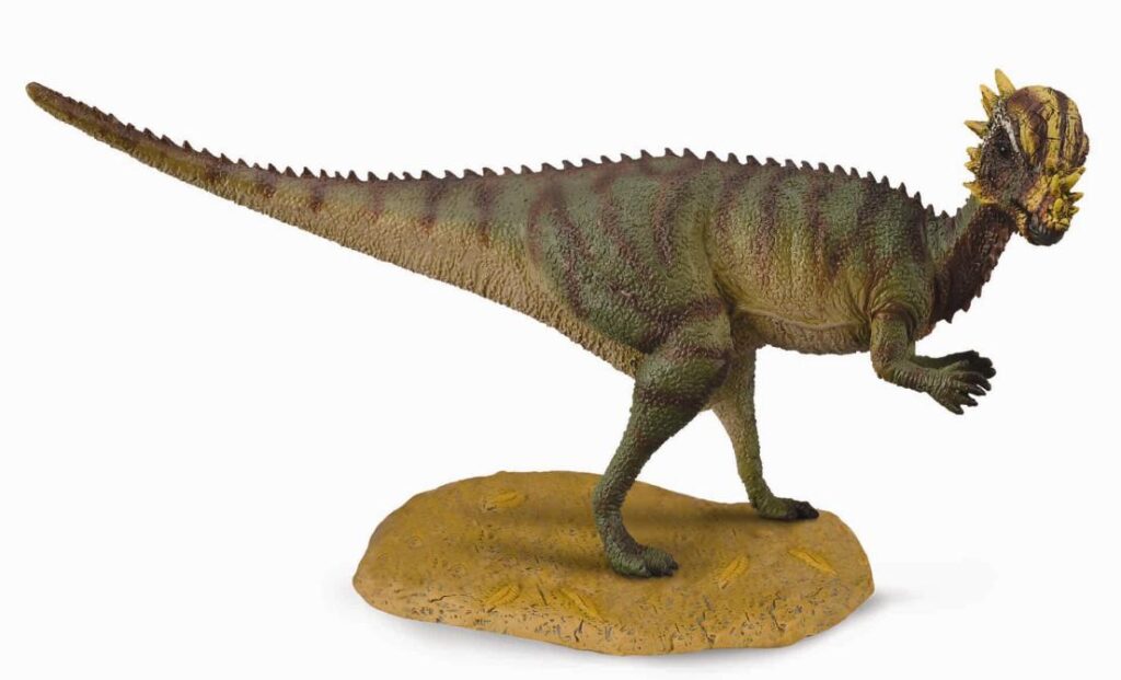 PACHYCEPHALOSAURIER (M)
