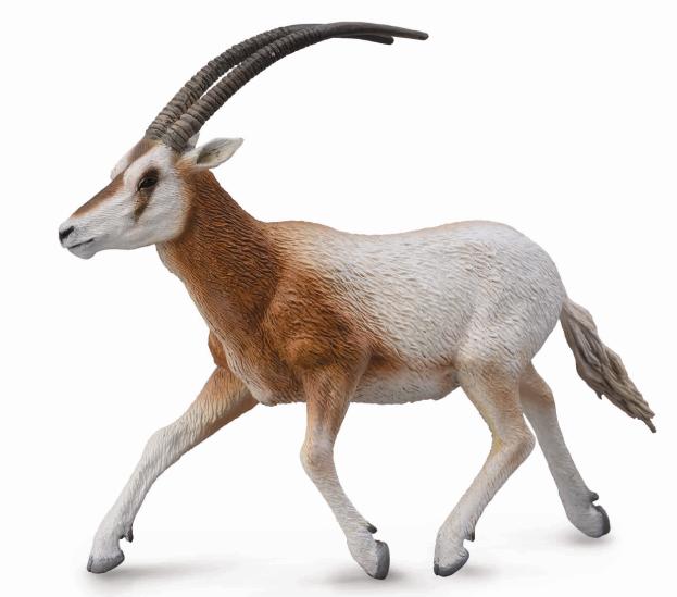 SÄBELANTILOPE (L)