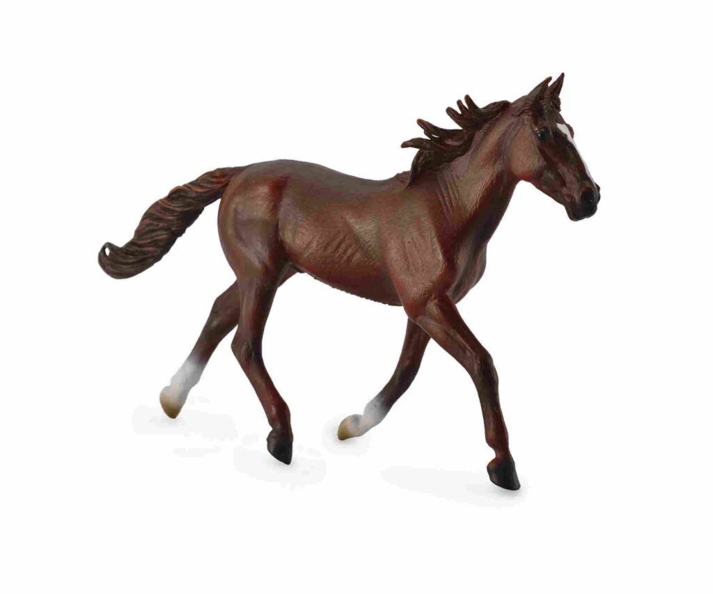 * AMERIKANISCHER TRABER CHESTNUTFARBEN (XL)