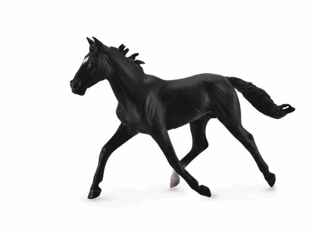 AMERIKANISCHER TRABER SCHWARZ (XL)