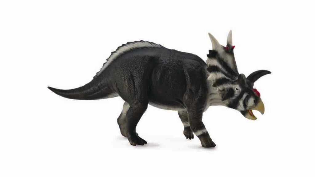 XENOCERATOPS (L)