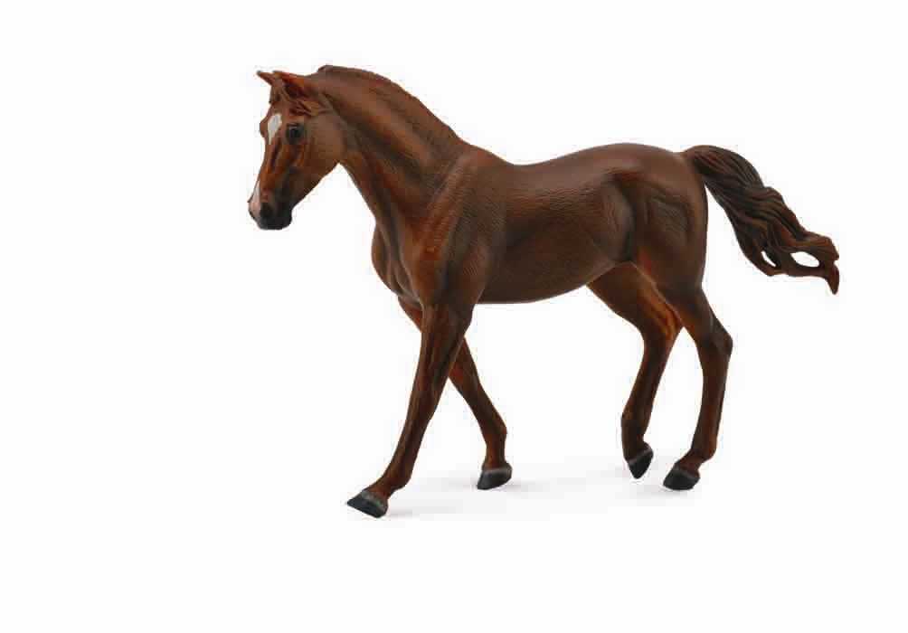 MISSOURI FOXTROTTER STUTE KASTANIENBRAUN (XL)