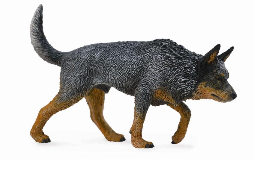AUSTRALISCHER TREIBHUND (L)