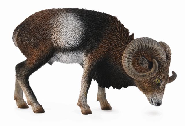 EUROPÄISCHES MUFLONSCHAF (L)