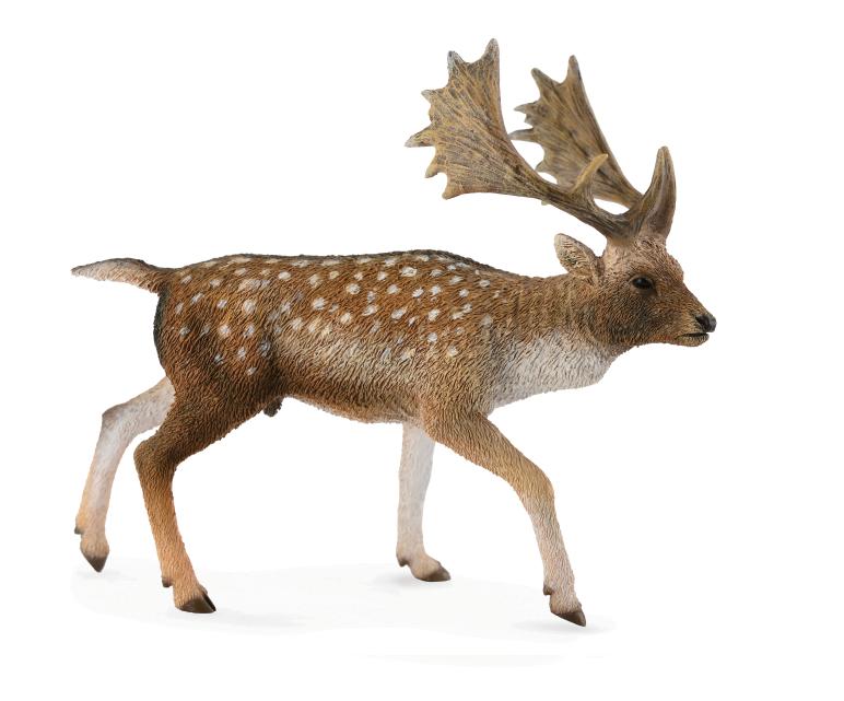 DAMMHIRSCH (L)