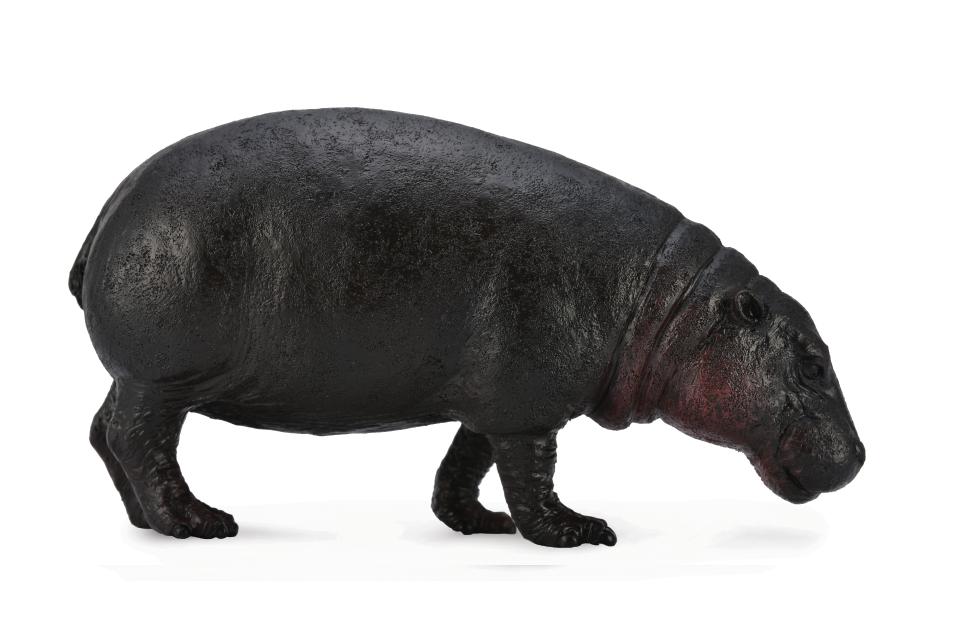 ZWERGFLUSSPFERD (L)