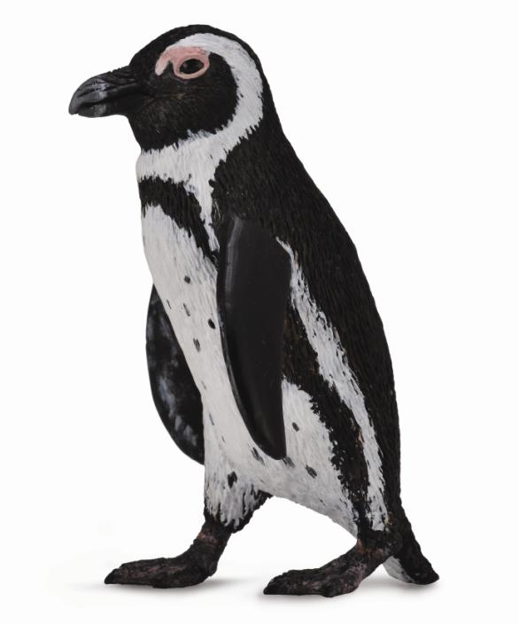 SÜDAFRIKANISCHER PINGUIN (S)