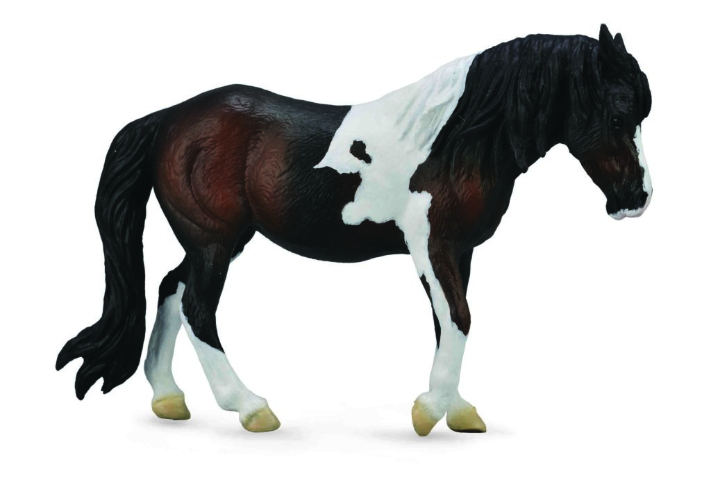 DARTMOOR STUTE BRAUN (L)