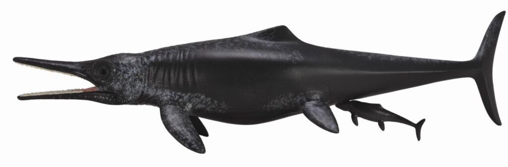 TEMNODONTOSAURUS PLATYODON - GEBÄREND (XL)