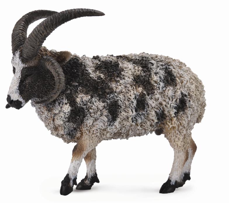 JACOBSCHAF (L)
