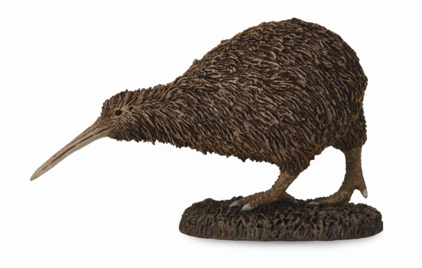 KIWI SCHNEPFENSTRAUSS (M)