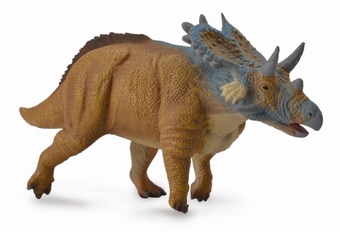 MERCURICERATOPS (L)