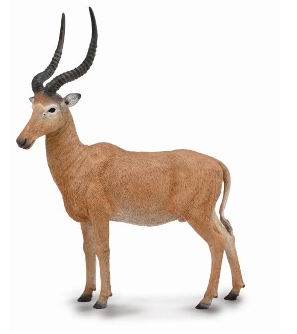 HUNTER-ANTILOPE (L)