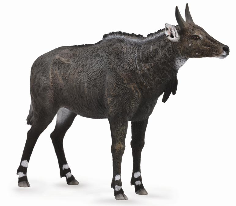 NILGAUANTILOPE (L)