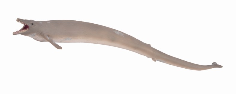 BASILOSAURIER (XL)