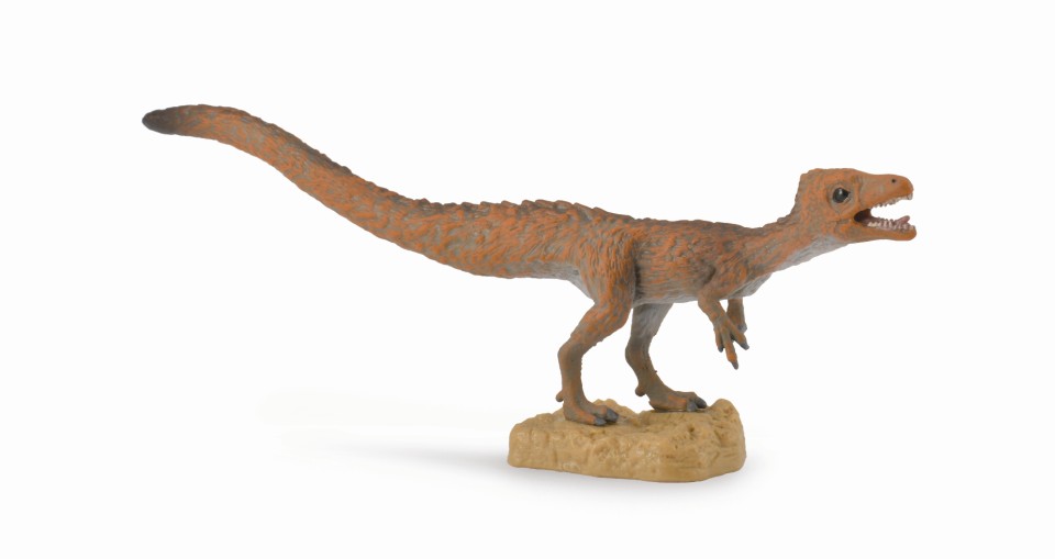 SCIURUMIMUS (M)