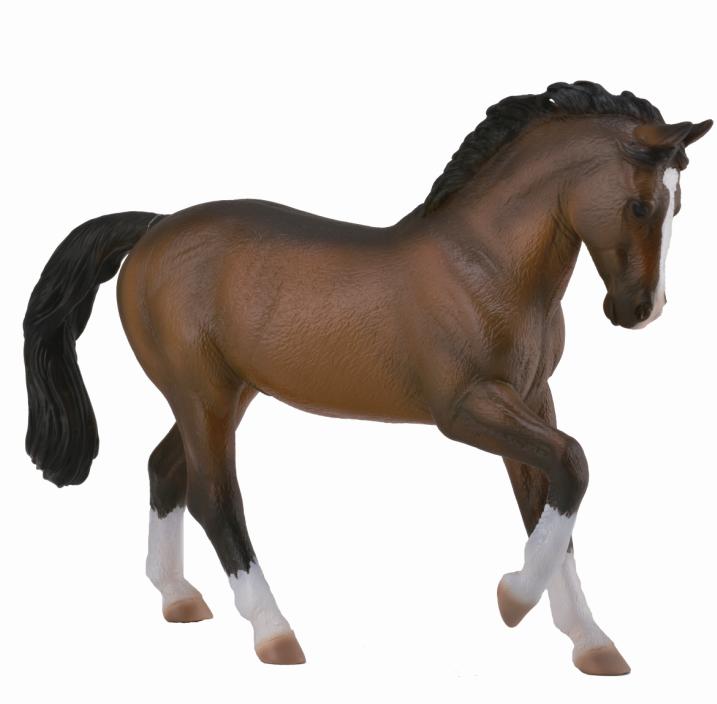 WARMBLUTHENGST BRAUN (XL)