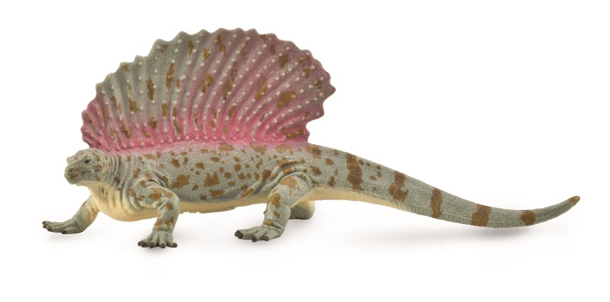 EDAPHOSAURUS (XL)
