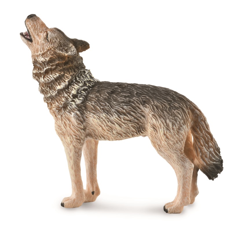 TIMBERWOLF, HEULEND (M)