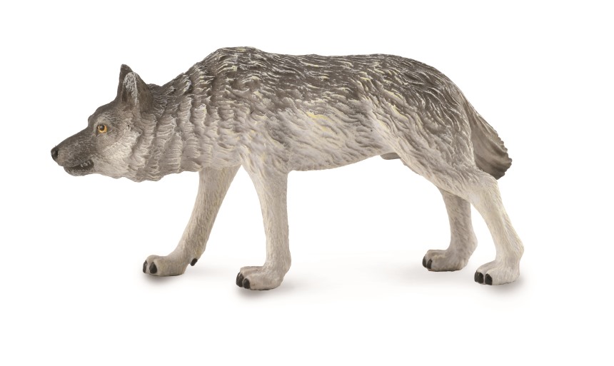 TIMBERWOLF, JAGEND (M)
