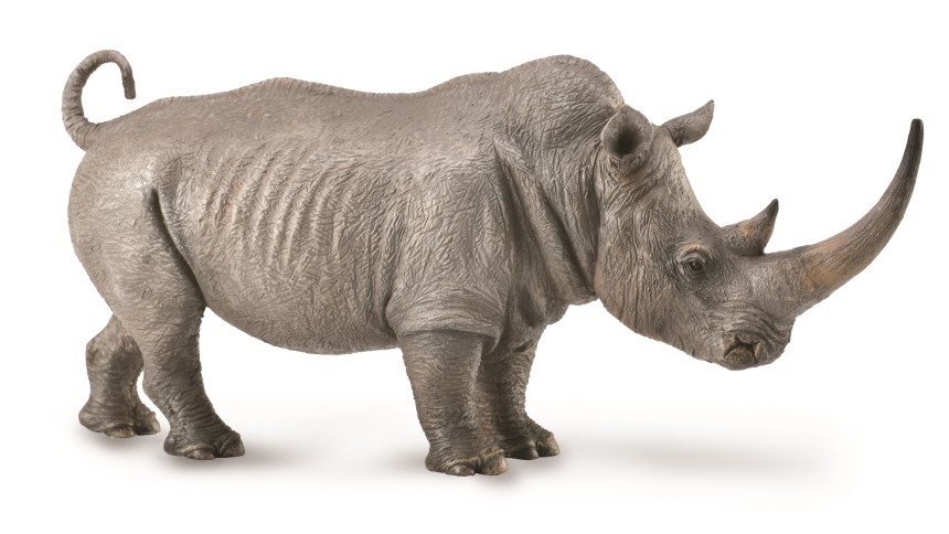 BREITMAULNASHORN (XL)