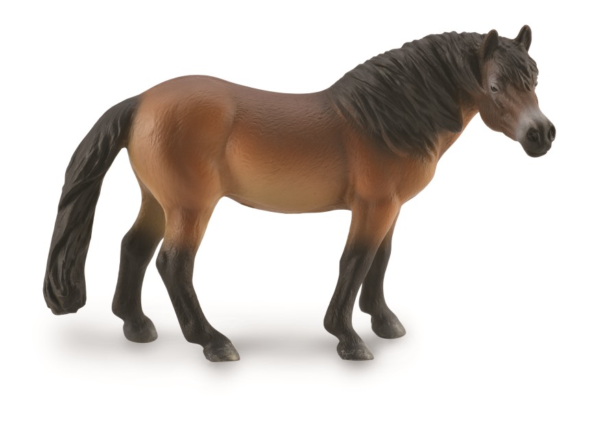 EXMOOR PONY HENGST (L)