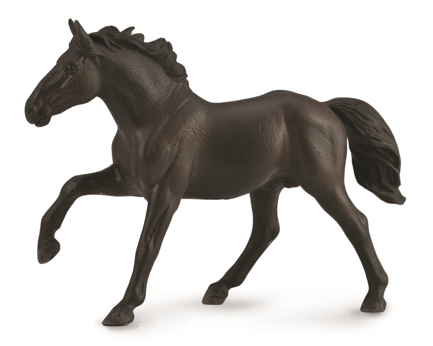 NONIUS HENGST - UNGARISCHES WARMBLUT  (XL)