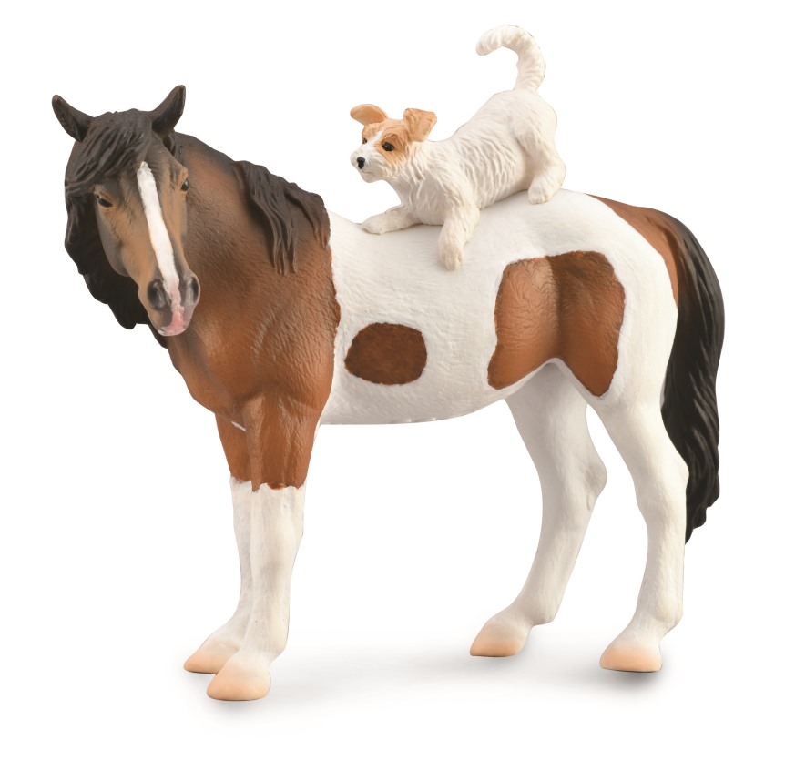 SCHMUSEPONY MIT SEINEM HUNDEFREUND (XL)