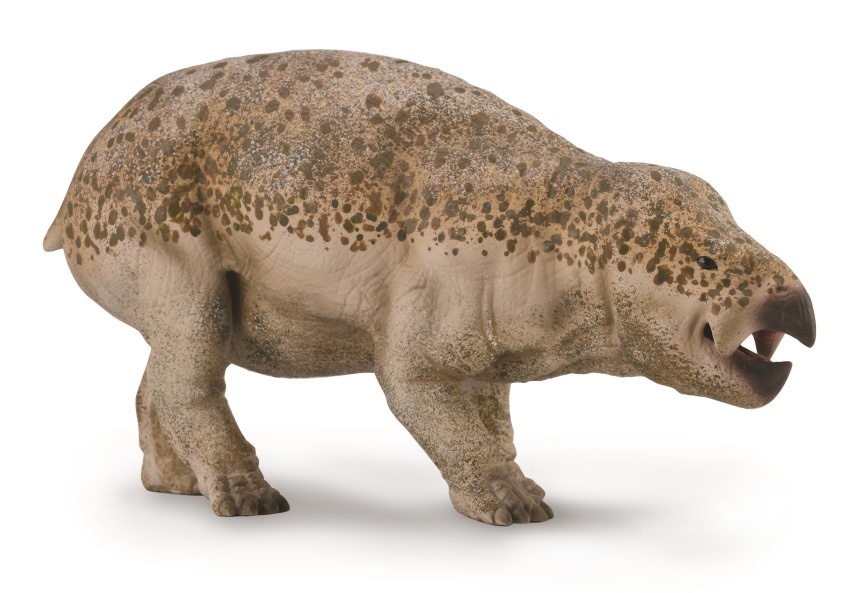 LISOWICIA BOJANI 1:20 (DELUXE)