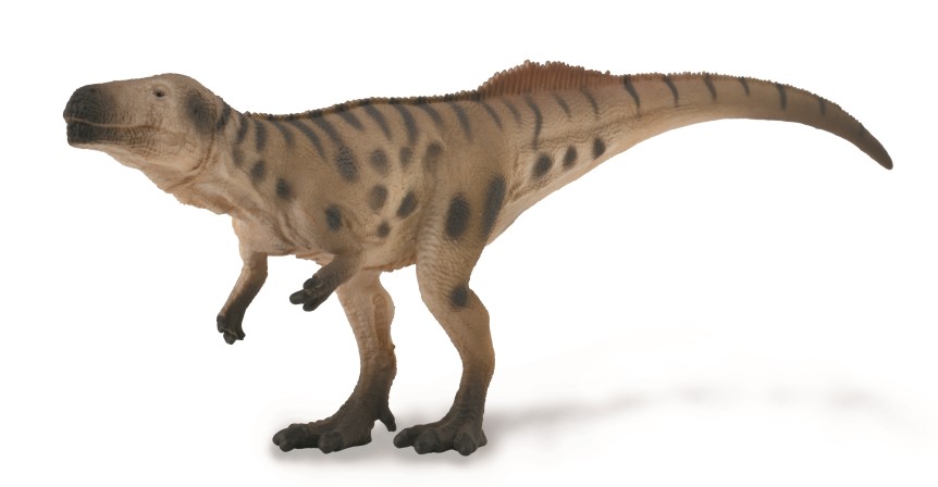 MEGALOSAURUS (M)