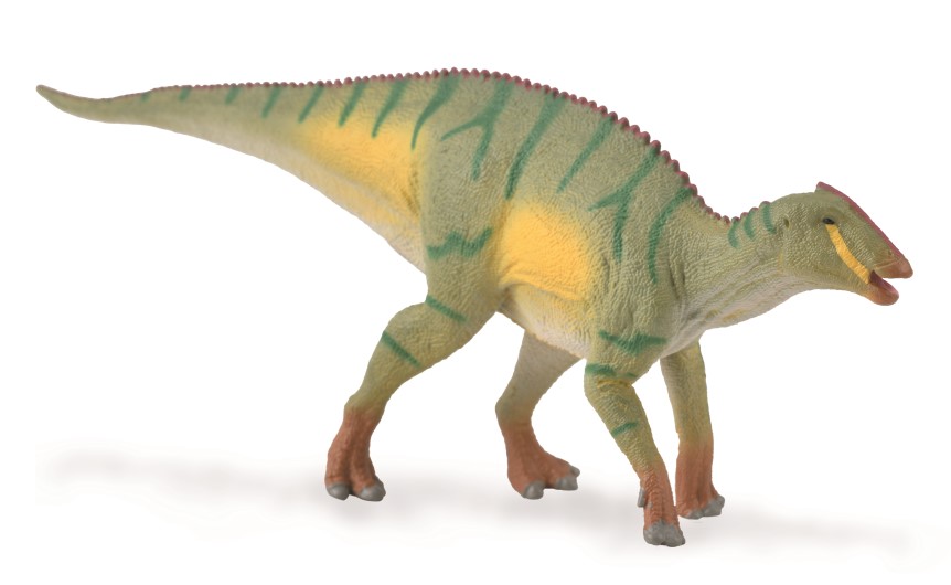 KAMUYSAURUS (M)