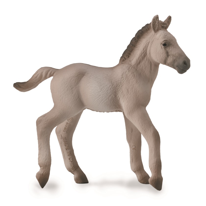 KONIK FOHLEN (M)