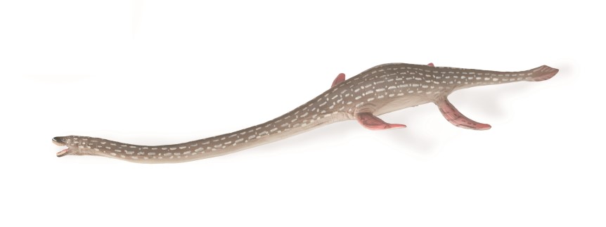 ELASMOSAURUS (L)