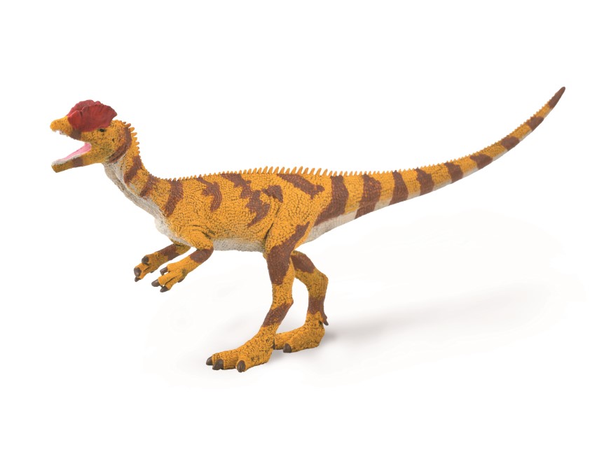 DILOPHOSAURUS (L)