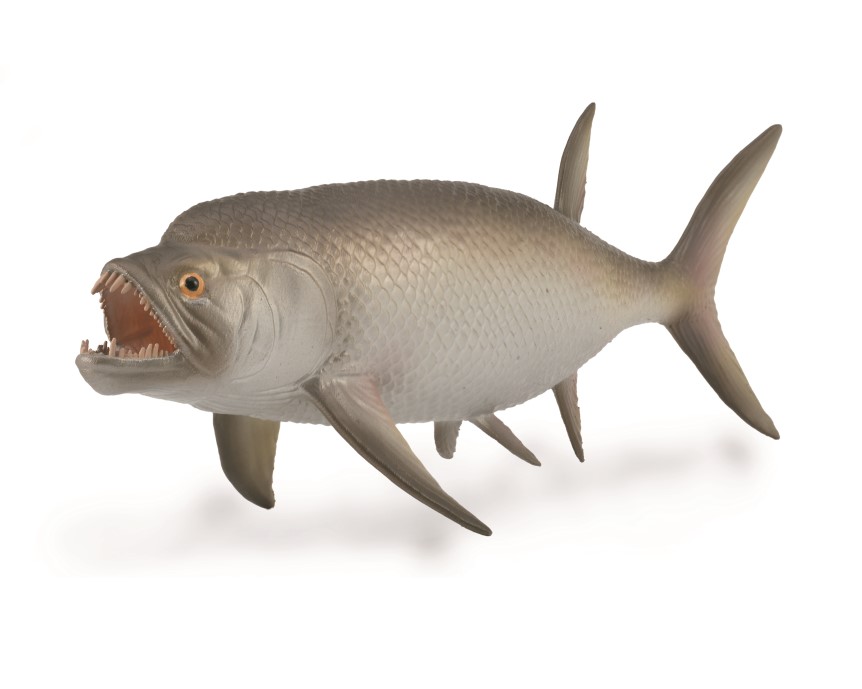 XIPHACTINUS 1:40 (L)