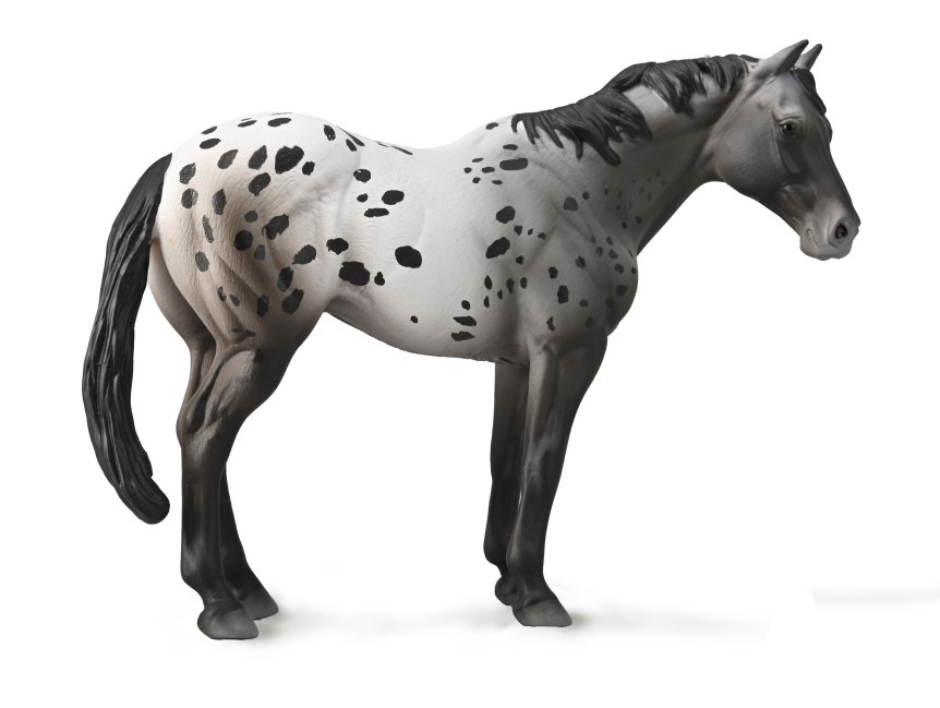 APPALOOSA HENGST BLUE ROAN (XL)