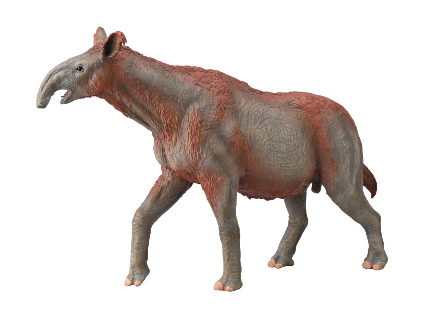 PARACERATHERIUM (DELUXE)