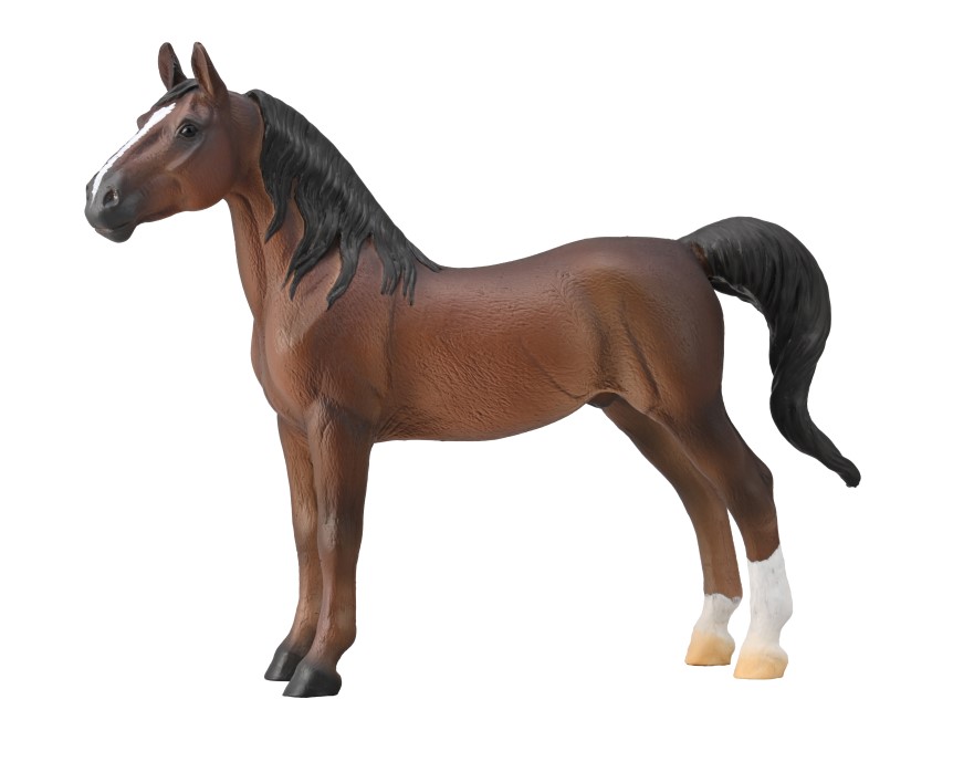 AMERICAN SADDLEBRED HENGST DUNKELFUCHS (XL)