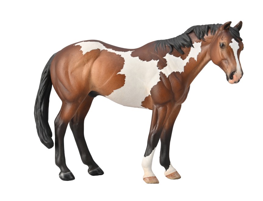 APPALOOSA HENGST BRAUNSCHECKE (XL)