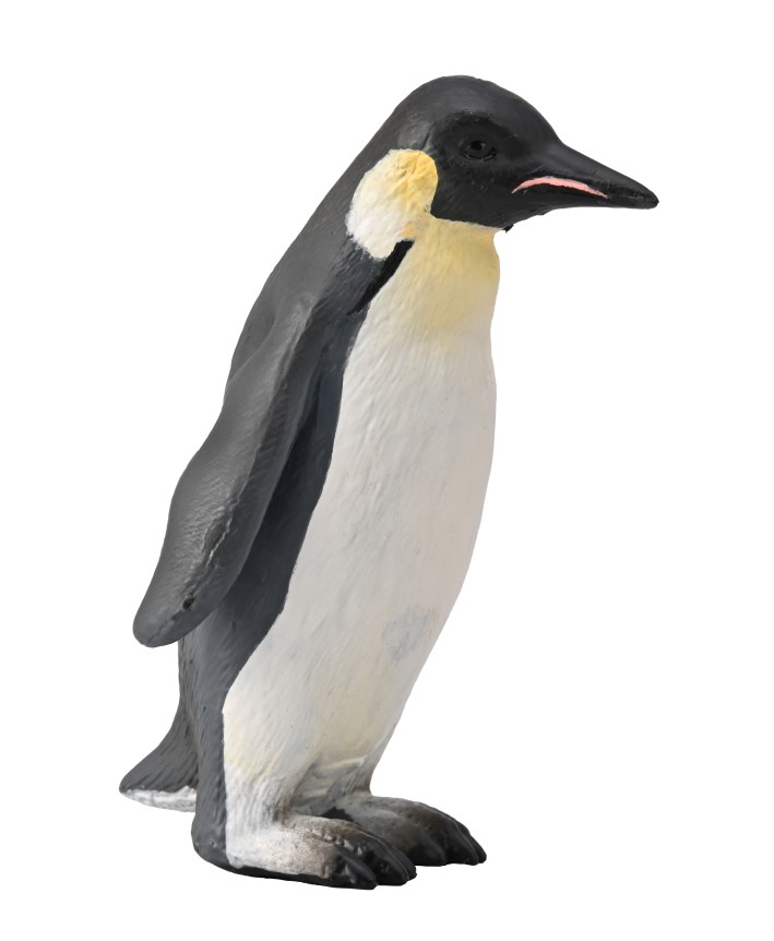 KAISERPINGUIN (M)