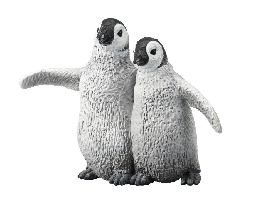 KAISERPINGUIN KUEKEN (M)
