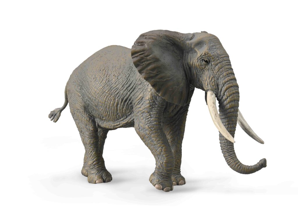 AFRIKANISCHER ELEFANT (XL)